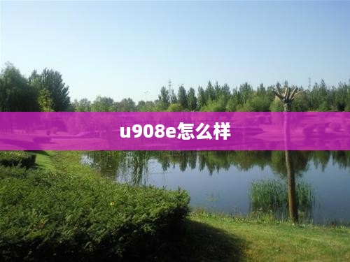 u908e怎么样