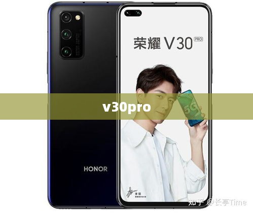 v30pro