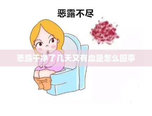 恶露干净了几天又有血是怎么回事