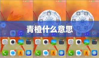 青橙什么意思