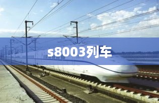 s8003列车