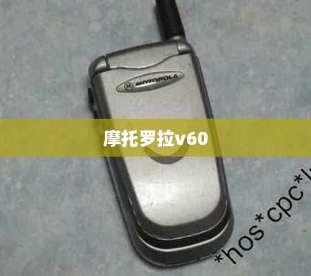 摩托罗拉v60