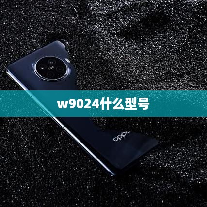 w9024什么型号