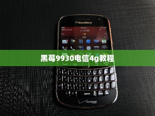 黑莓9930电信4g教程