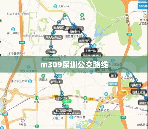 m309深圳公交路线
