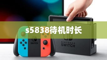 s5838待机时长