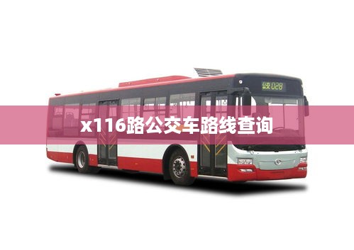 x116路公交车路线查询
