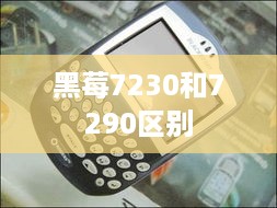 黑莓7230和7290区别
