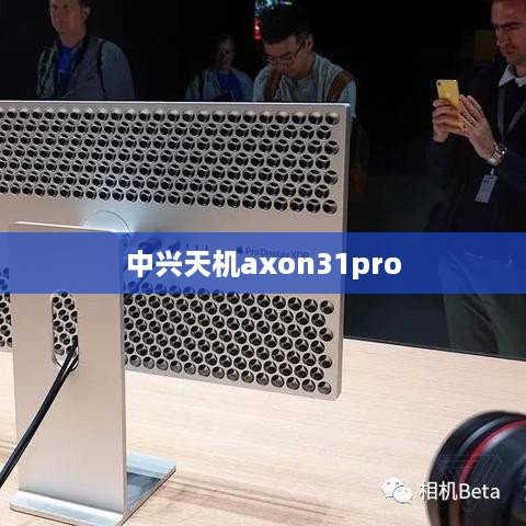 中兴天机axon31pro