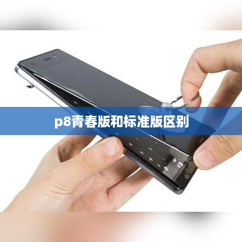 p8青春版和标准版区别