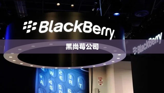 黑尚莓公司