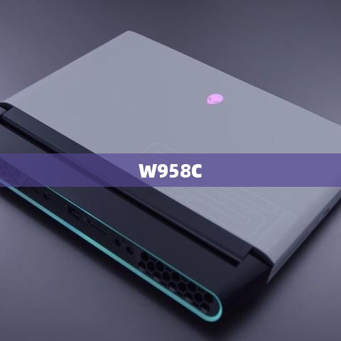 W958C