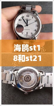 海鸥st18和st21