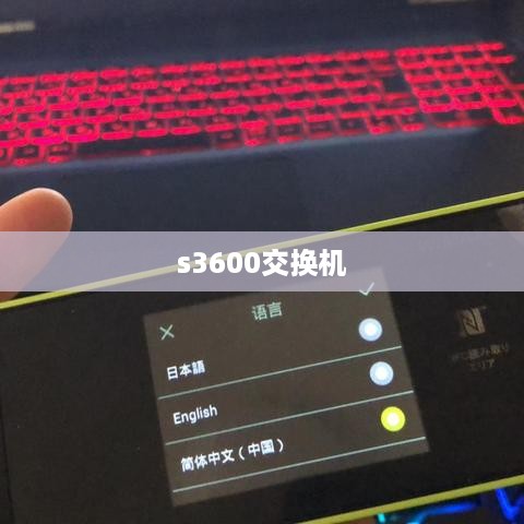 s3600交换机