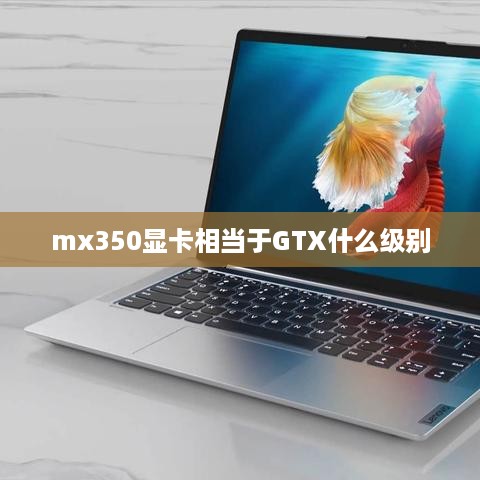 mx350显卡相当于GTX什么级别
