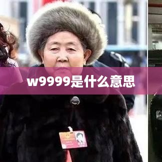 w9999是什么意思