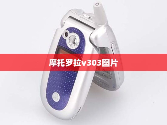 摩托罗拉v303图片