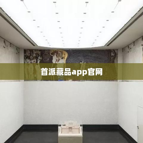 首派藏品app官网