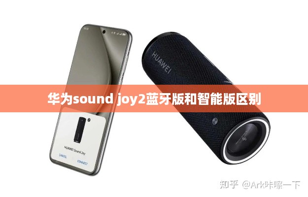 华为sound joy2蓝牙版和智能版区别