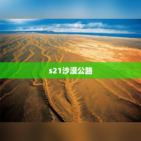 s21沙漠公路  第1张