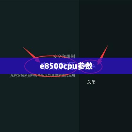 e8500cpu参数
