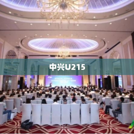中兴U215