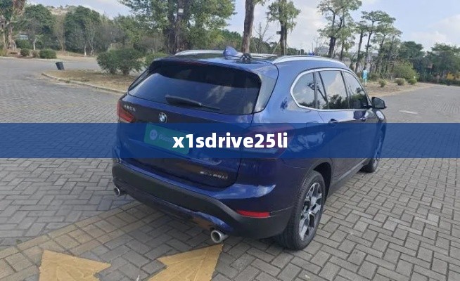 x1sdrive25li