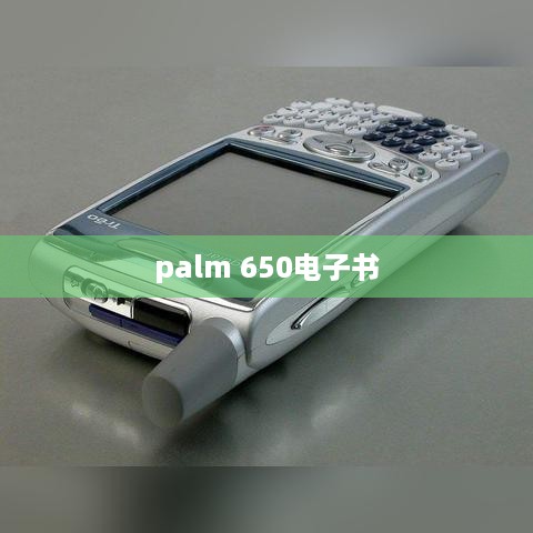 palm 650电子书