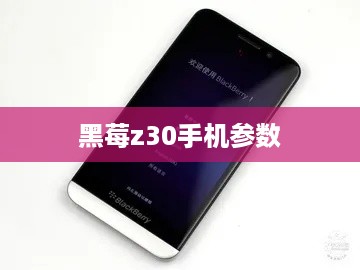 黑莓z30手机参数