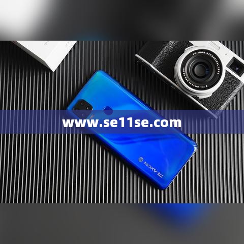 www.se11se.com
