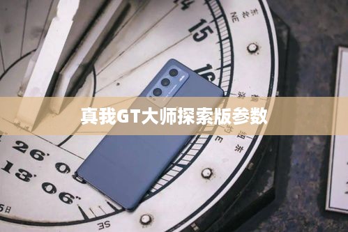 真我GT大师探索版参数