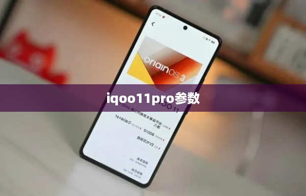 iqoo11pro参数