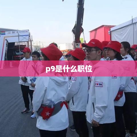 p9是什么职位
