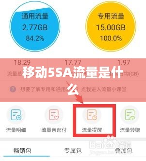 移动5SA流量是什么