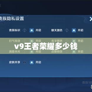 v9王者荣耀多少钱