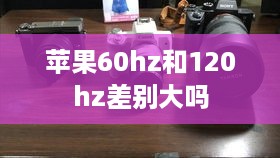 苹果60hz和120hz差别大吗