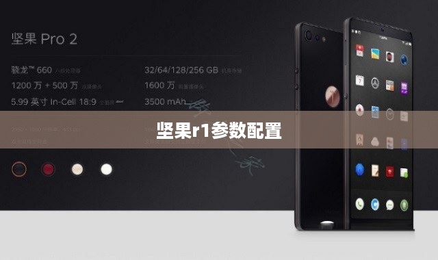 坚果r1参数配置