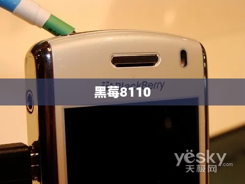 黑莓8110