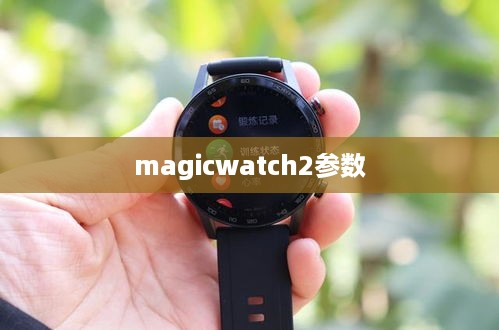 magicwatch2参数
