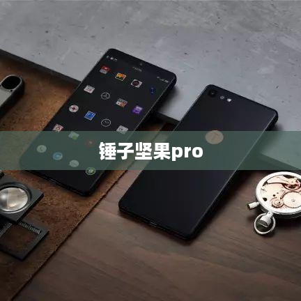 锤子坚果pro