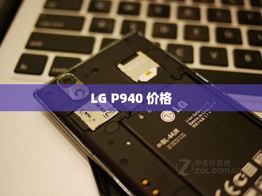 LG P940 价格