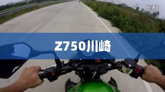 Z750川崎