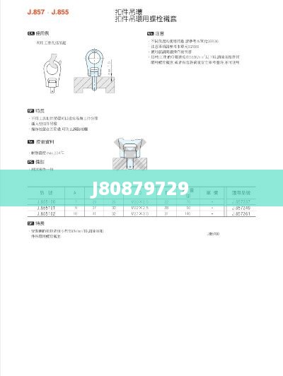 J80879729