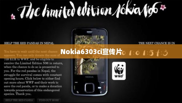 Nokia6303ci宣传片