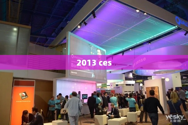 2013 ces