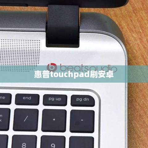 惠普touchpad刷安卓
