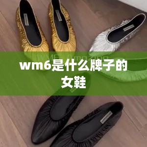 wm6是什么牌子的女鞋