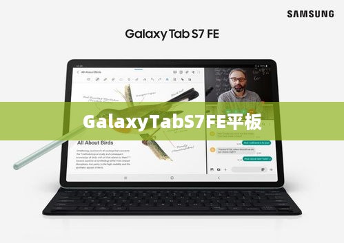 GalaxyTabS7FE平板