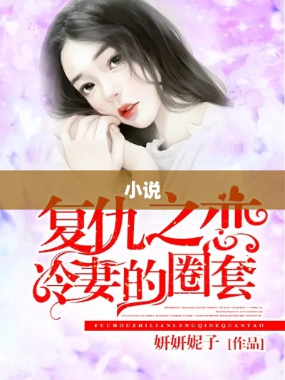 小说