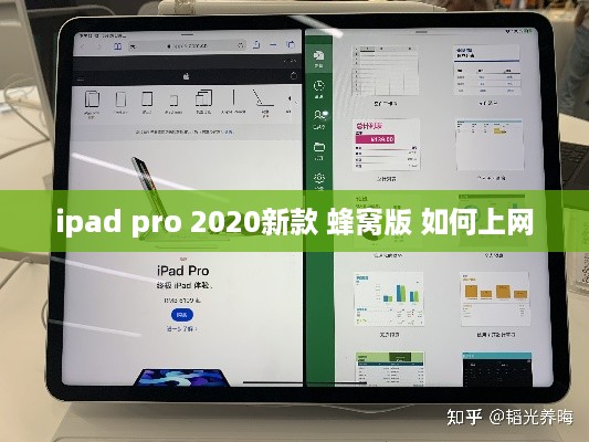 ipad pro 2020新款 蜂窝版 如何上网
